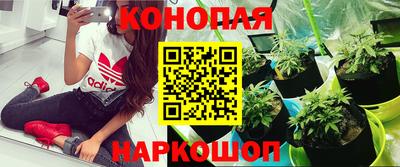 трава Краснодар